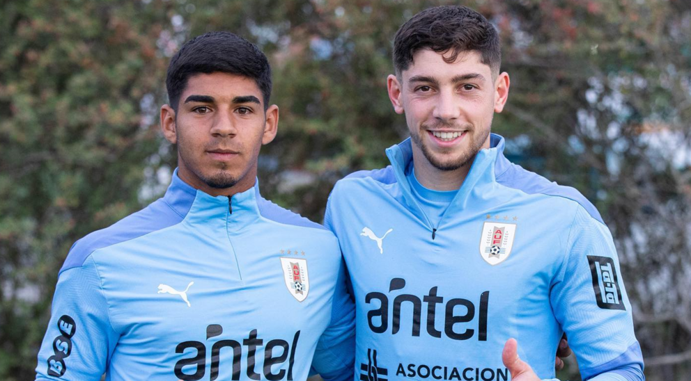 Captura de pantalla 2026-01-20 172744