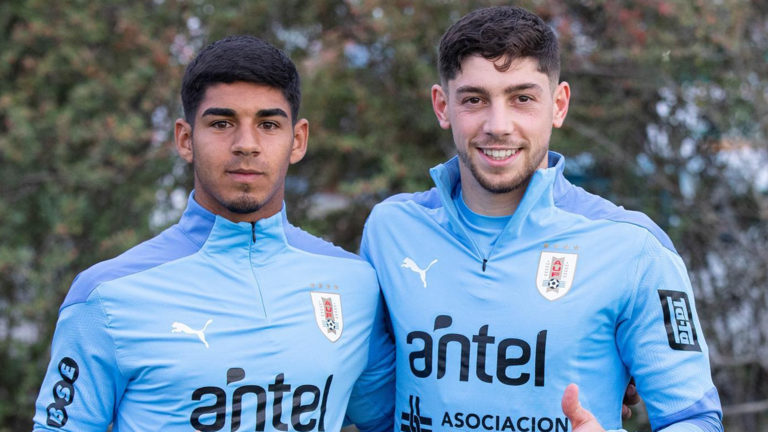 Captura de pantalla 2026-01-20 172744